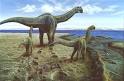 Camarasaurus