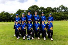 Image result for North Devon Cricket Club