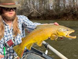 Image result for The Lancaster Fish