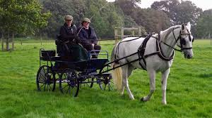 Image result for Beechwood Riding School