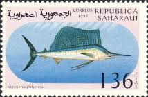 Image result for Istiophorus platypterus