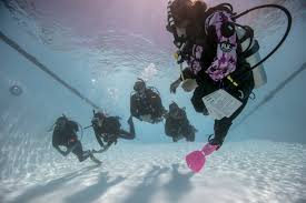 Image result for Seabug Divers