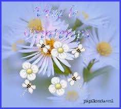 http://t0.gstatic.com/images?q=tbn:ANd9GcTdQi0TgAyh96ifCLyfRTU9L-70R9XkOYXNtNEtdO9jU6o4Rn3HRA