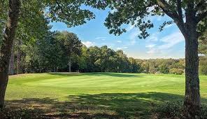 Image result for Puttenham Golf Club