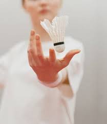 Image result for Doncaster Badminton