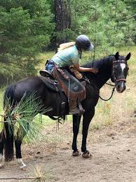 Image result for Woodhill Riding Club