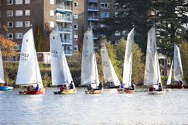 Image result for Tamesis Club