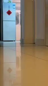 Image result for Bugaboo Cameleon Amy Poehler