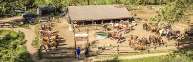 Image result for Old Park Riding Stables