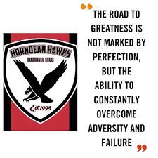 Image result for Hedingham Hawks Youth Football Club