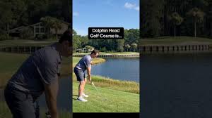 Image result for Dolphina Gc