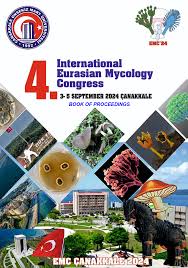 Attēlu rezultāti vaicājumam “Licea chelonoides spores”