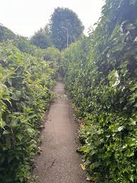 Image result for Woodmancote SMBC