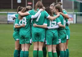 Image result for Leatherhead Football Club