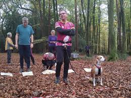 Image result for Wessex Orienteering Club