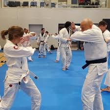 Image result for Surrey Ju - Jitsu Kick Boxing Club