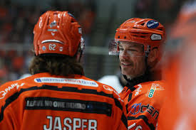 Image result for Sheffield Steelers