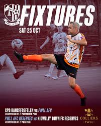Image result for Ponthenri A F C