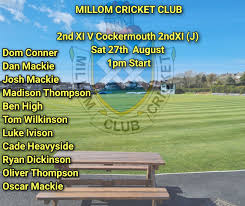 Image result for Millom Cricket Club