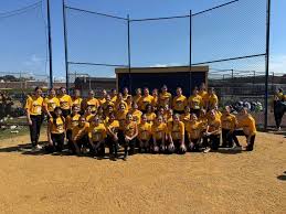 Image result for Cheetahs Softball Team