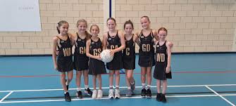 Image result for Chelmsford Netball Club