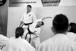 Image result for Newport Kyokushin Karate Club