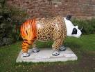 of the rare animals that - via Daymix