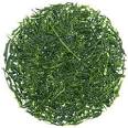 gyokuro