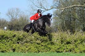 Image result for Chobham and District Riding Club