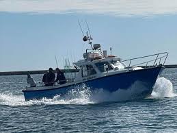 Image result for Paignton Sea Anglers Association