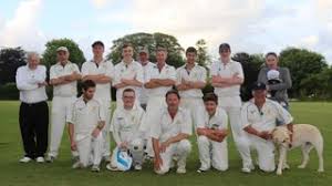 Image result for Yelverton Bohemians Cricket Club
