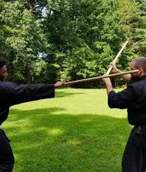 Image result for Bujinkan Mid Kent Dojo