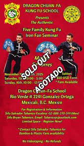 Image result for Chat Ying Kuen Kung Fu Club