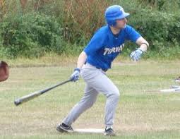 Image result for Taunton Muskets Baseball Club