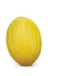 Image result for Melone
