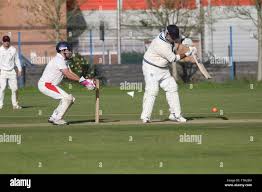 Image result for Carmarthen Wanderers Cricket Club