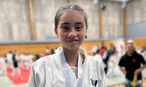 Image result for Marsden martial arts