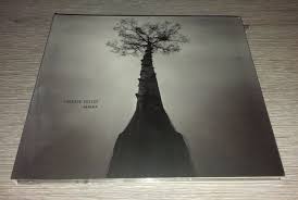 Attēlu rezultāti vaicājumam “Adoxus obscurus”