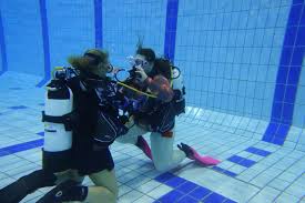 Image result for Manta Divers Sub-Aqua Club