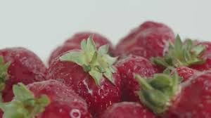 Attēlu rezultāti vaicājumam “Fragaria x ananassa fruit”