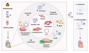「ラブライナ・ワーズワース ワイルドアームズ クロスファイア」の画像検索結果