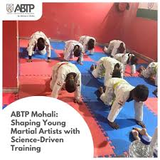 Image result for Martial Art Centre of Excellence