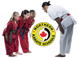 Image result for Northern Freestyle Karate Association