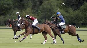 Image result for Cirencester Park Polo Club