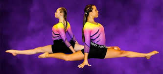 Image result for Cardiff Olympic Gymnastics Club