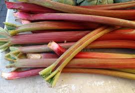 Attēlu rezultāti vaicājumam “Rheum rhabarbarum fruit”