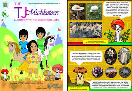 Attēlu rezultāti vaicājumam “Lycogala maculatum young”