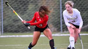 Image result for York University Street Hockey Club