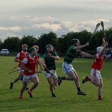 Image result for hurling