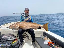 Image result for Argyrosomus regius